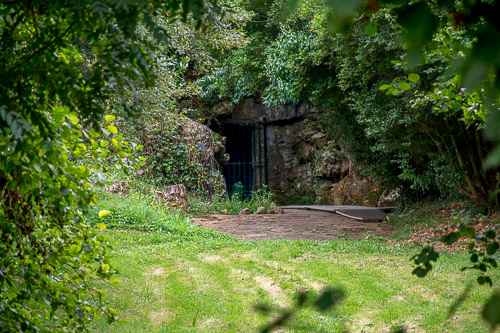 DSC_7009.jpg