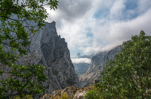 DSC_7214.jpg
