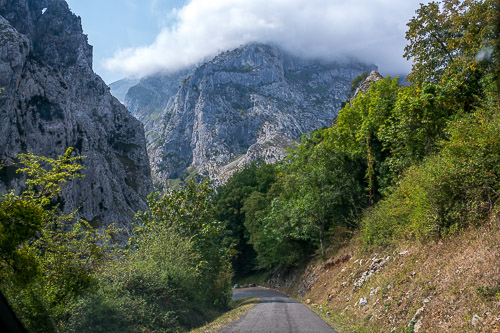 DSC_7259.jpg