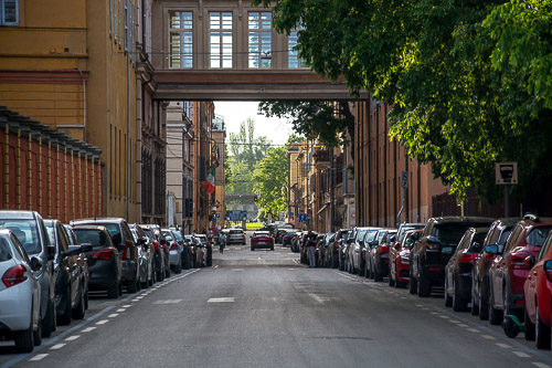 DSC_2664.jpg