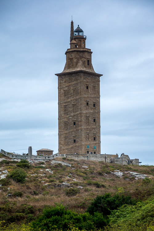 DSC_7653.jpg