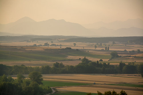 DSC_6933.jpg