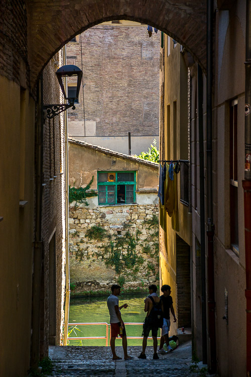 DSC_8237.jpg