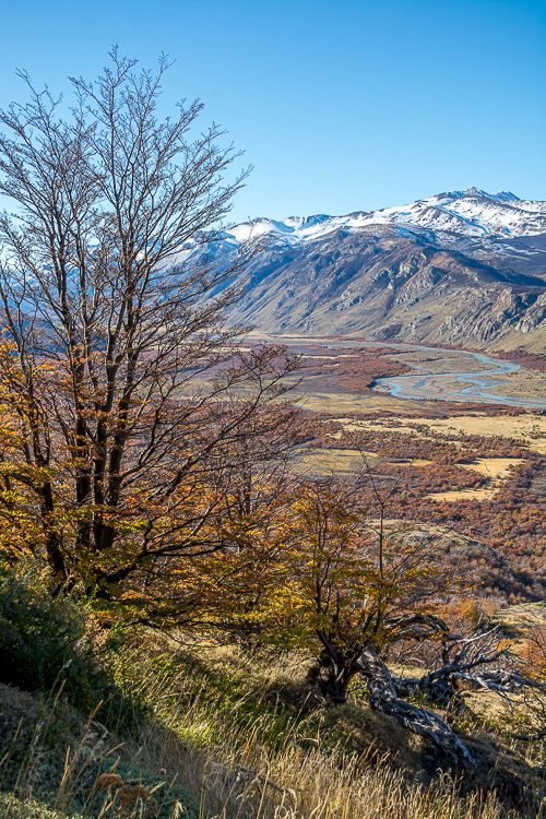 photo/patagonia/thumb/DSC_1740.jpg