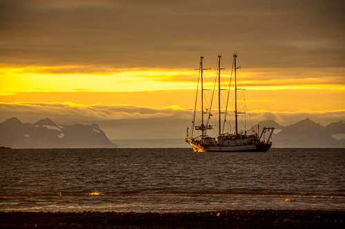 DSC_9176.jpg