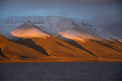 DSC_9206.jpg