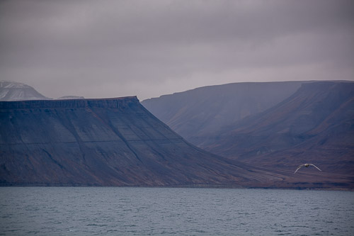 DSC_9344.jpg