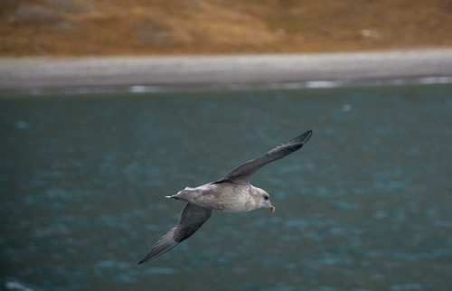 DSC_9408.jpg