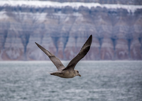 DSC_9418.jpg