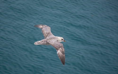 DSC_9468.jpg