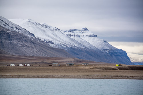 DSC_9518.jpg