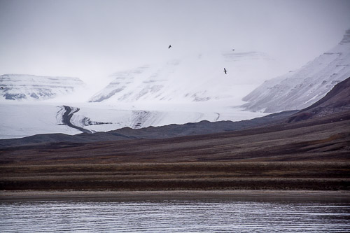 DSC_9685.jpg