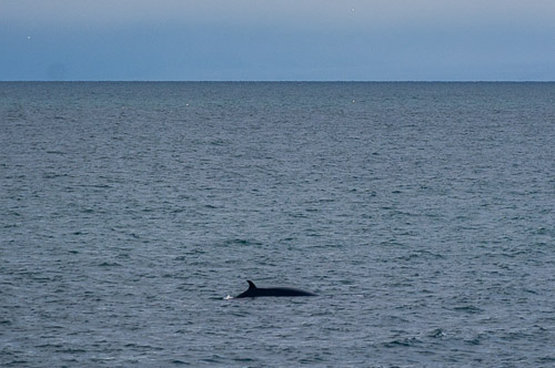 DSC_9867.jpg