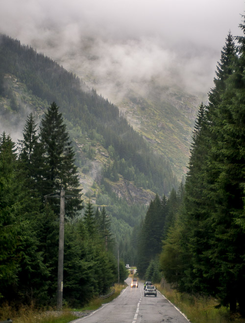 DSC_6080.jpg