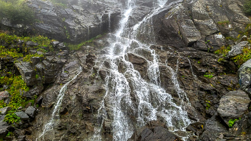 DSC_6101_20250819_143019.jpg