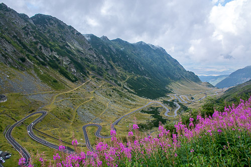 DSC_6124.jpg