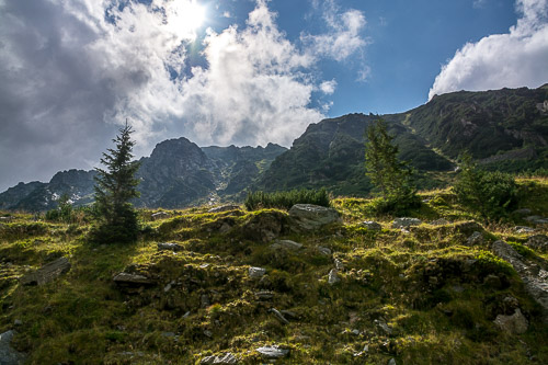 DSC_6141.jpg